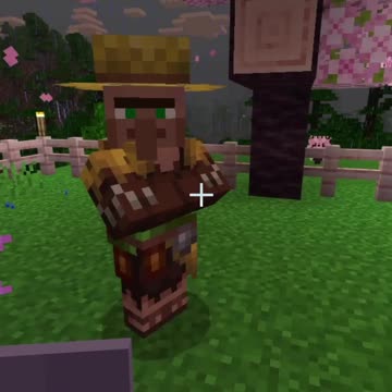 Crappy Trades... Nope! Minecraft