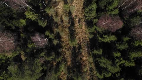 Leather Free Interior