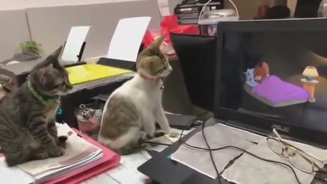 7 second video