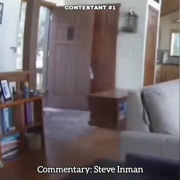 Close Encounters with Wildlife