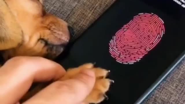 Can't open it ðŸ˜