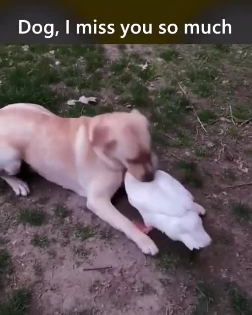 Dog I miss you so much! BFF'S forever!