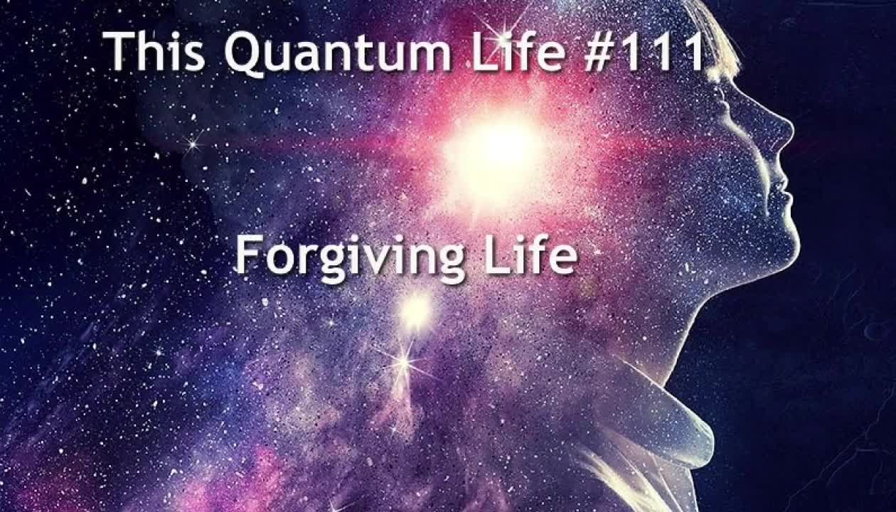 This Quantum Life #111 - Forgiving Life