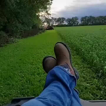 Loving the country life