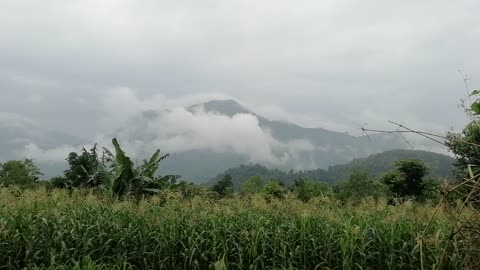 Raining in nepal