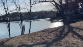 Flax Pond 030821 Northside