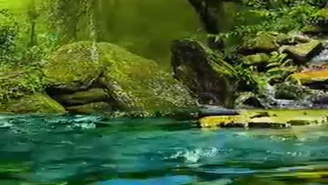 The most beautiful scenery