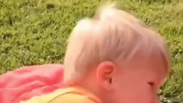 Do whatever it takes NOT TO LAUGH_dont show my girlfriend__ Funny Videos Viral TREND