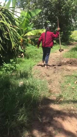 She called her son to play in field