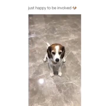 Who needs talent when you’re this cute.