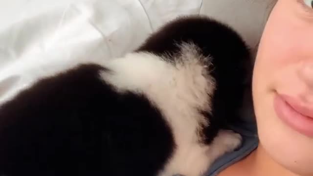 Is it normal for dogs to bite your face??