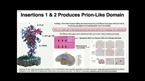 Spike Proteins enter The BRAIN causing Inflammation Of Lewy bodies