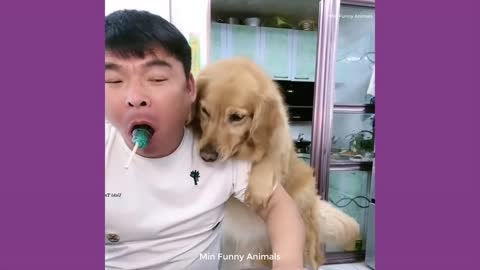 Funniest Animals | Funny Dog And Cat | Funny Animals Video #2