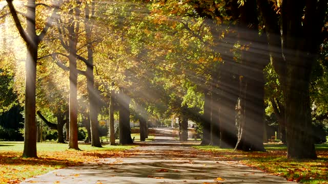 Ambient Music For Studying - 4 Hours of Study Music for Concentration