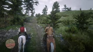 Rdr2 walkthrough, My last boy mission