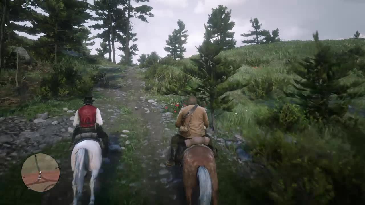 Rdr2 walkthrough, My last boy mission