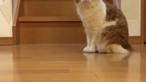 Package delivery
