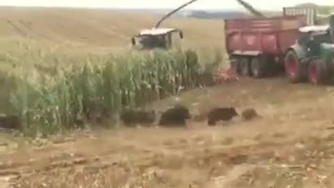 Hey you get the smoker and I'll grab the guns. The farmer will handle the rest.