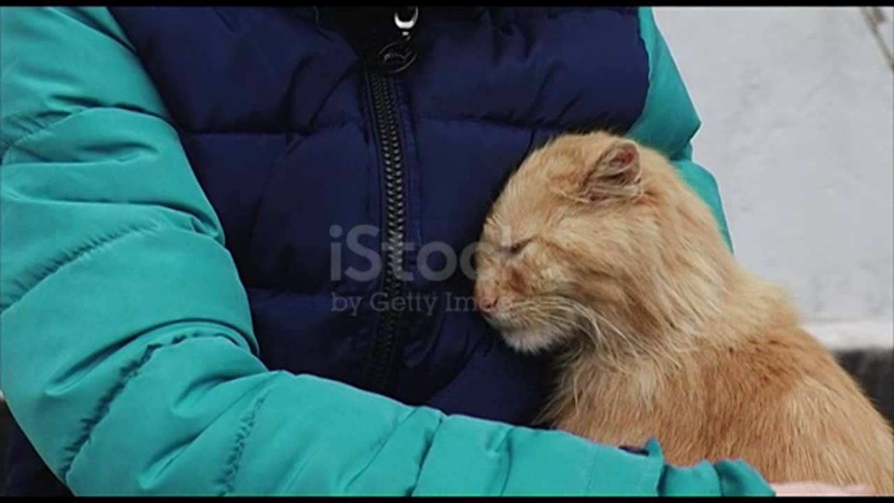 🥺🥺🥺