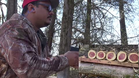 25 acp 22 lr 380 vs Wood