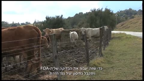 פרק ג - חלק 4 - כיצד נעלמו המגיפות