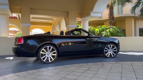 Elegant Sophisticated Condo in St Petersburg Florida