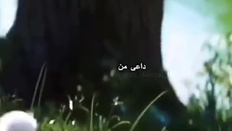 Beautiful duck