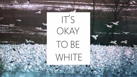 It_s_okay_to_be white