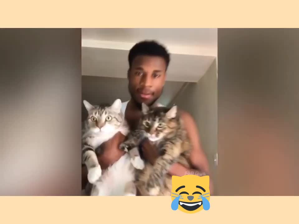 🤣 😻 Cats and 🐶 Dogs - Awesome Funny -TIKTOK PETS Videos 😇