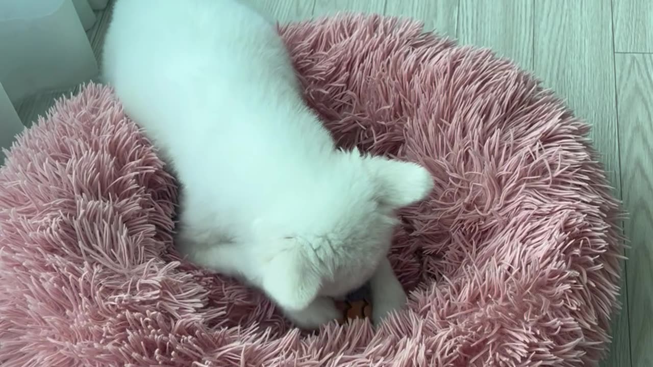 rubbing a cushion