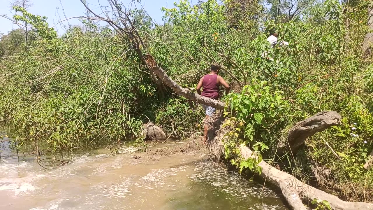 Fish Catching