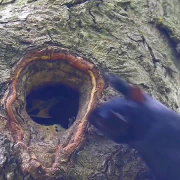 NOT TODAY, COME BY TOMORROW!