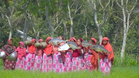 Queenfish Cooking - Sea Fish Curry Recipe Cooking In Village - Chapa Shurma Fish For Villagers