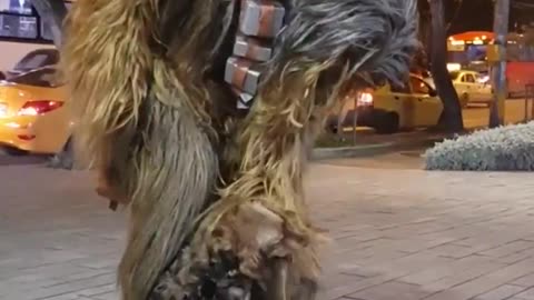 Chewbacca Meets Dog