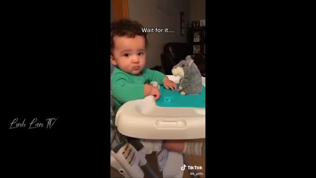Funny Videos - The Best. Have a good time