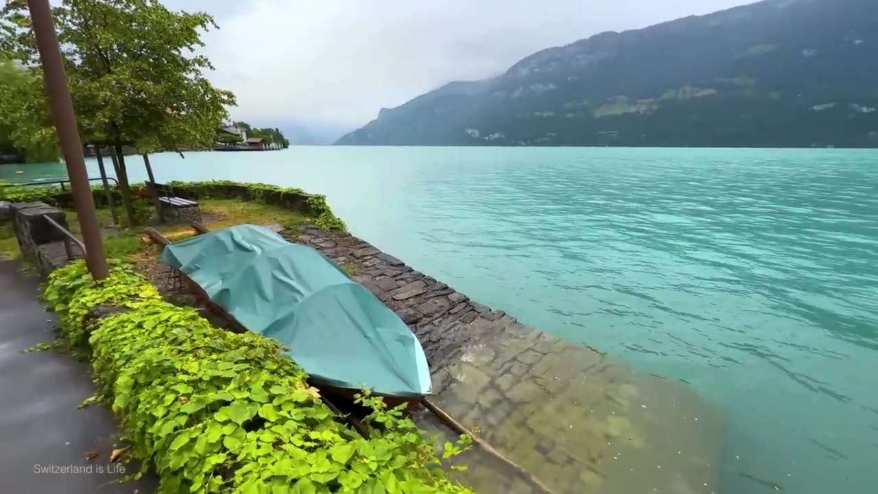 The magical Swiss village Oberried after fresh summer rain 🇨🇭 Switzerland