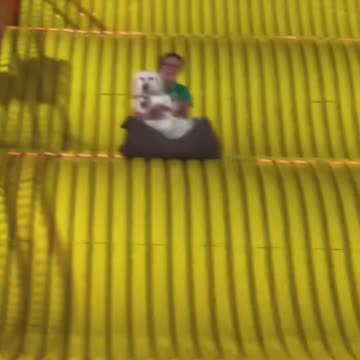 Funny moments with my dog 🐕🐶❤️😂 #21