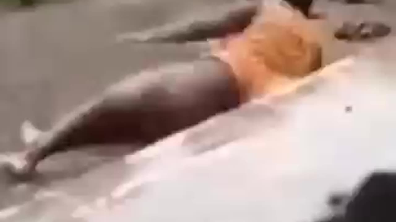 Watch_till_end #funny #fails #video