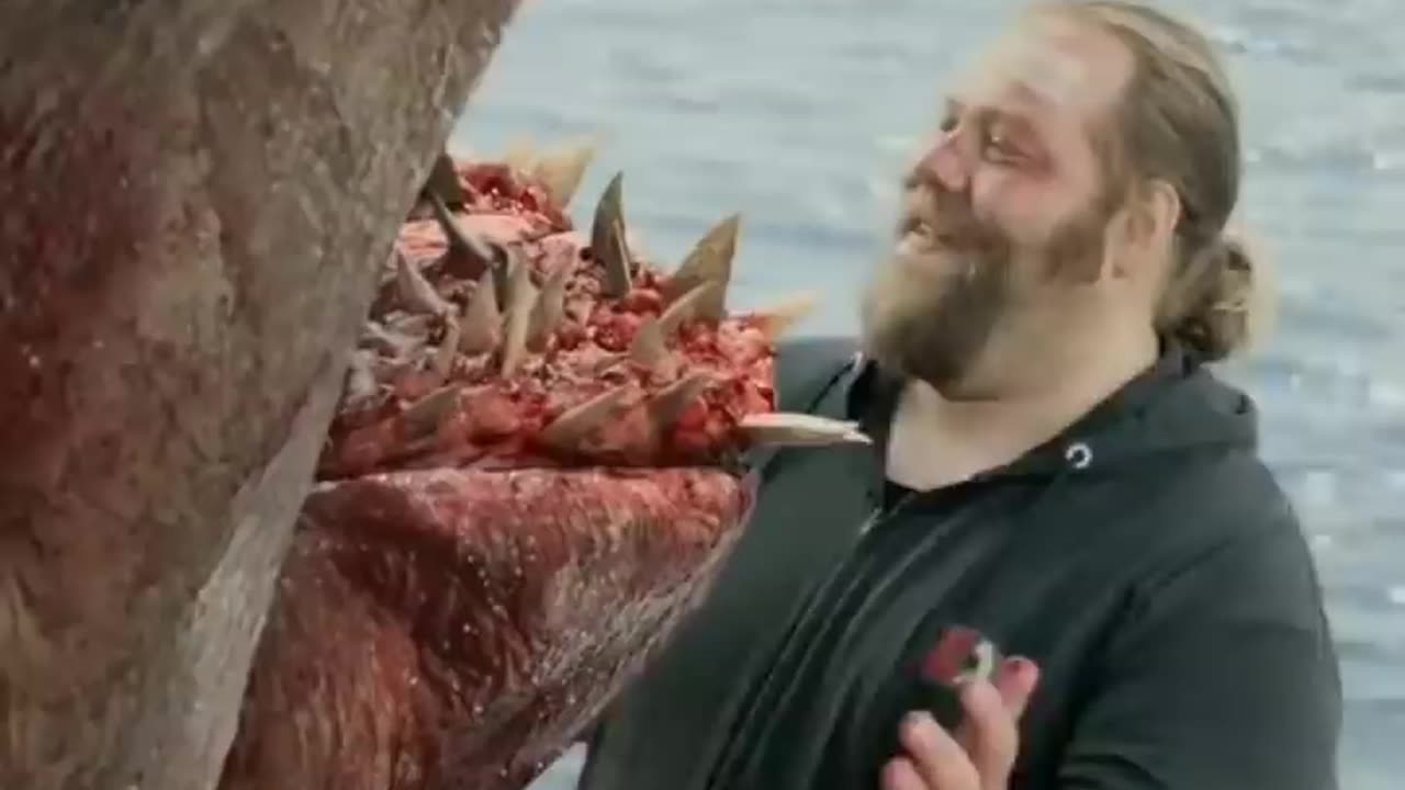THE MEG