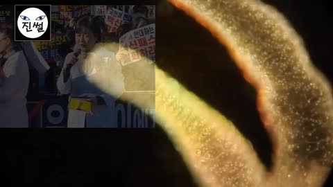 20211221_[펌] [예레미TV] [#307] 양심적 의사들의 분노, ‘공개방송서 현미경으로 보면서 토론하자!’ vs ‘괴담, 음모론자 낙인만 찍으려는 자들’, 누가 옳은가