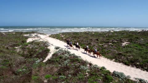 Friends Ride Horses Towards Beach