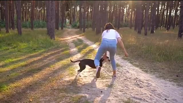 So funny dog 🐩🐕🐩 video