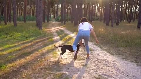 So funny dog 🐩🐕🐩 video