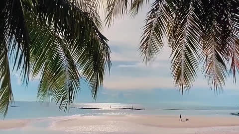 The beach
