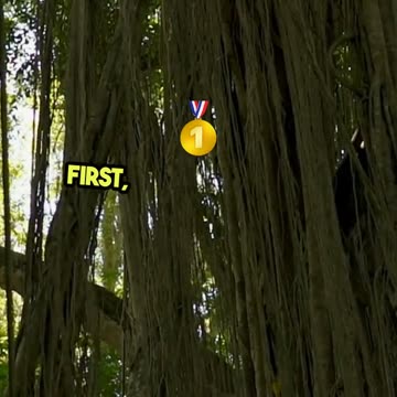 Turn YouTube Videos into DVD Sales!