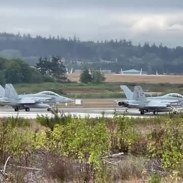 🔥WARCAT11 burnin on uot👏