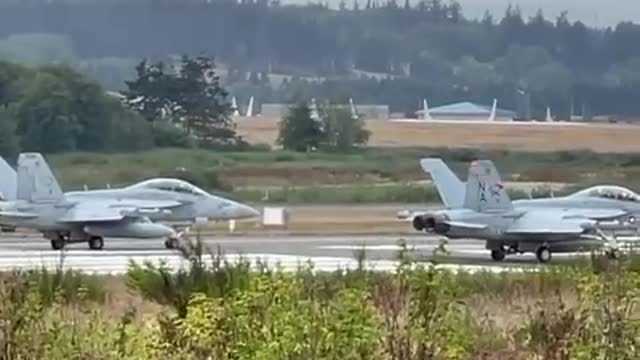 🔥WARCAT11 burnin on uot👏