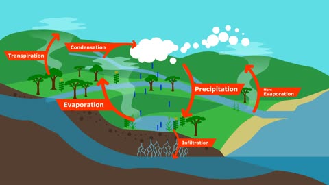 Climate Change: The Water Paradigm