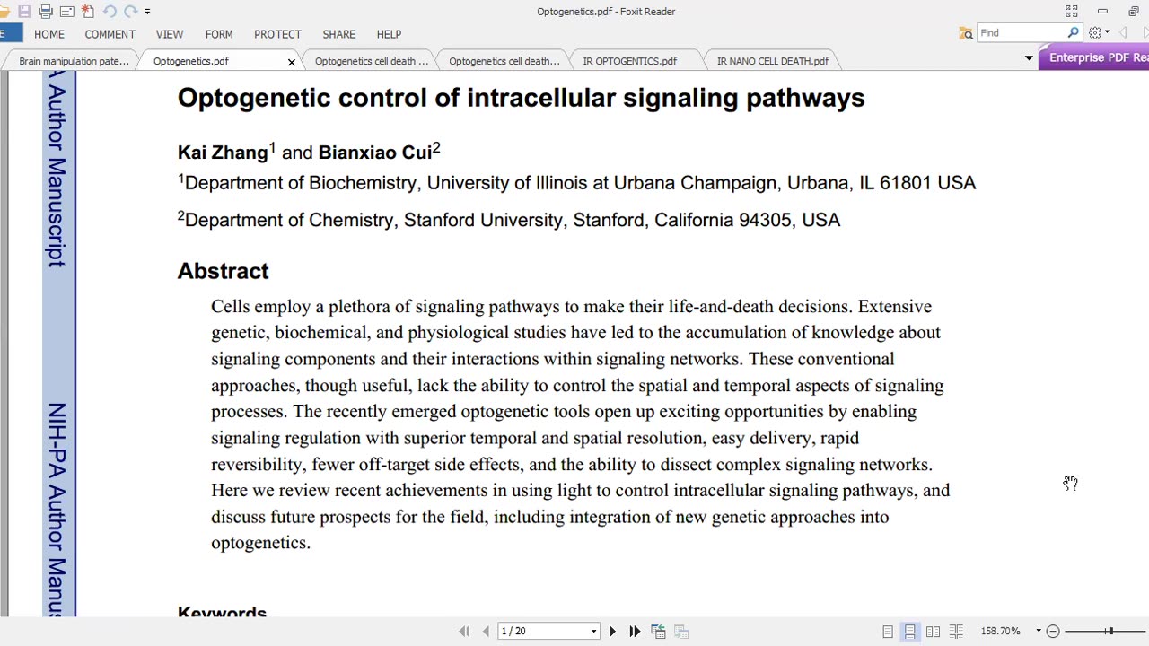 NANO PARTICLES FOR CONTROLLING AND CELL DEATH