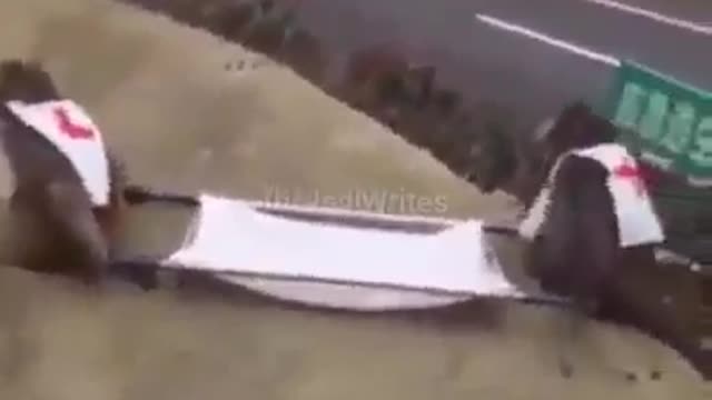 Monkey vs Monkey patient/Funny video 📷
